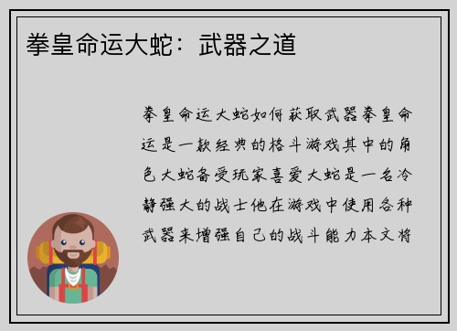 拳皇命运大蛇：武器之道